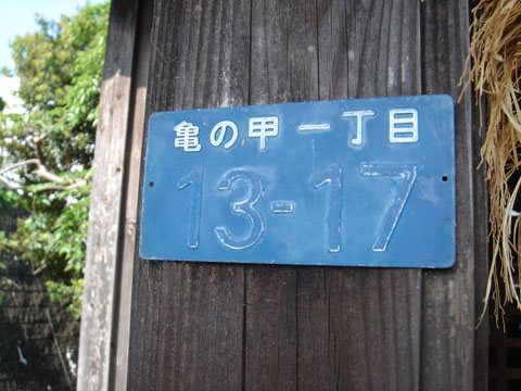 kakegawa5