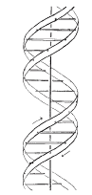 DNA