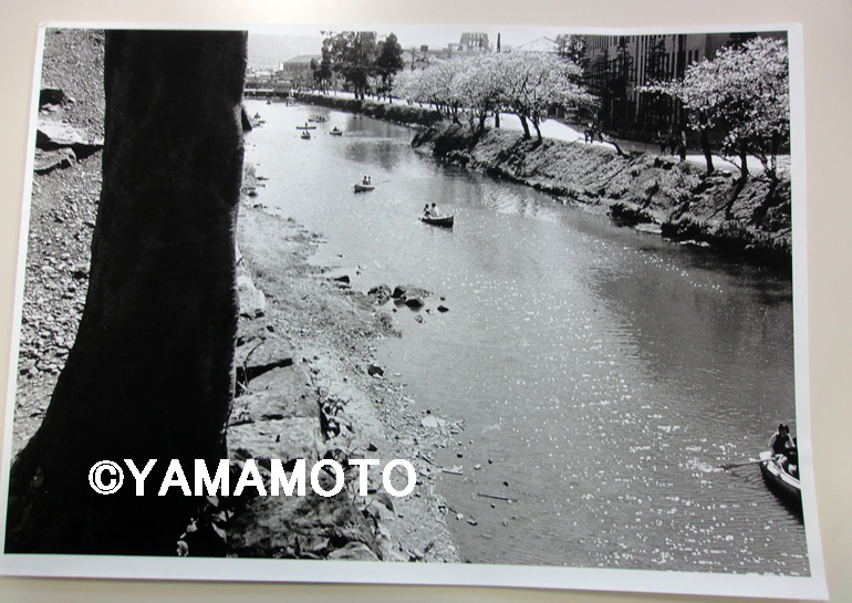 yamamoto6