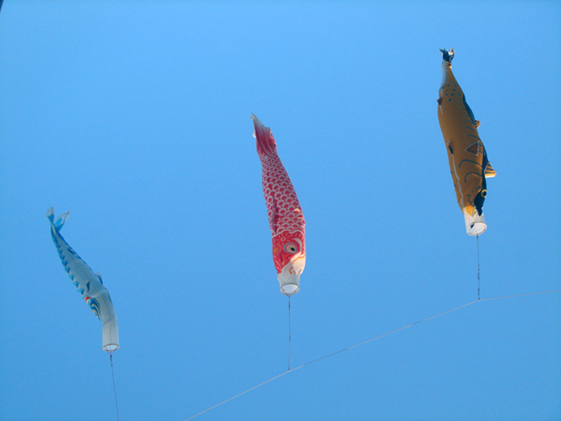 koinobori