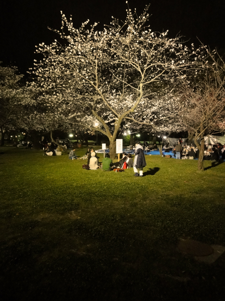 hanami6